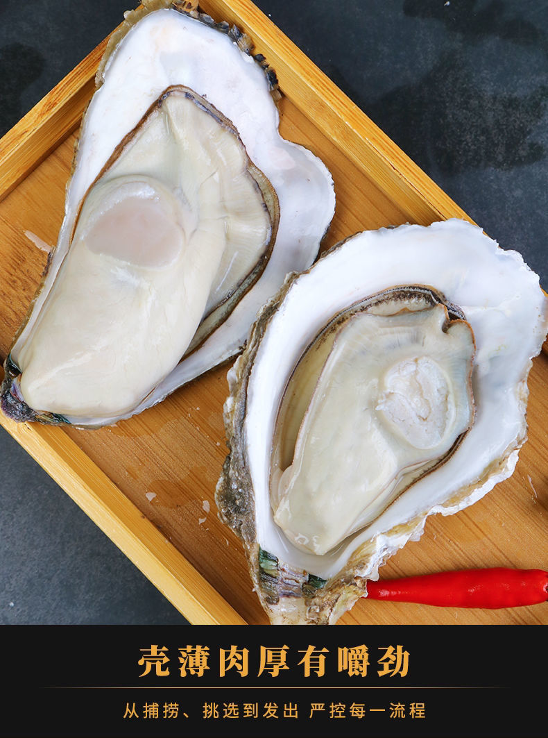 顺丰福建生蚝鲜活特大号大牡蛎蒜蓉即食整箱净重2斤顺丰送蚝刀芥末