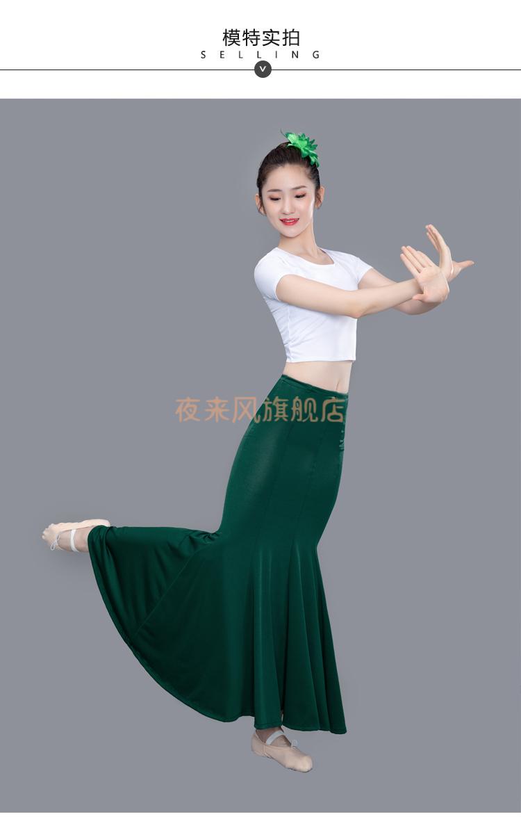 傣族舞演出服装傣族练习裙成人女半身舞蹈表服艺考练功裙弹力孔雀鱼尾