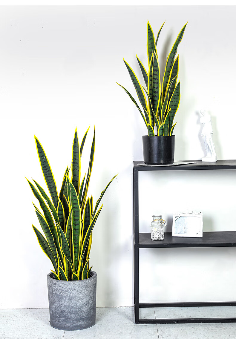 兰琦欧 兆族大型仿真植物虎皮兰家居装饰盆景网红橱窗绿植摆件落地假