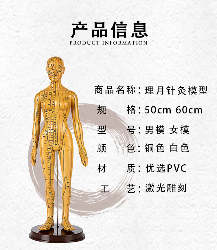 模型中医男女全身经络小铜人可扎针灸人模小人图硅胶数字款软模52男白