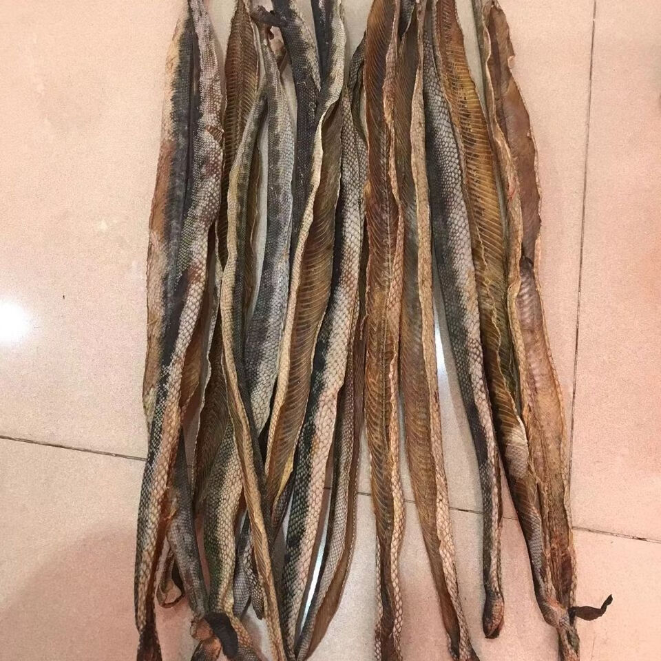 深海海蛇干货足干大号中和煲汤泡酒新鲜渔民自晒滋补营养漂亮 船晒