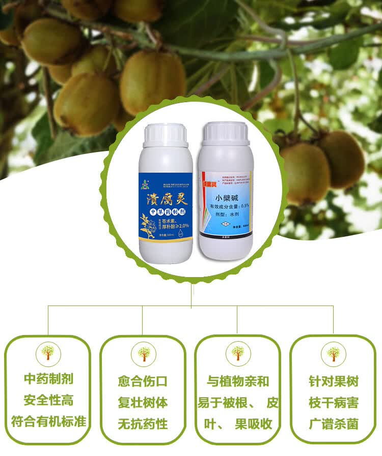 溃腐灵果树腐烂病柑橘猕猴桃溃疡病桃树樱桃流胶病农药剂清园 500ml