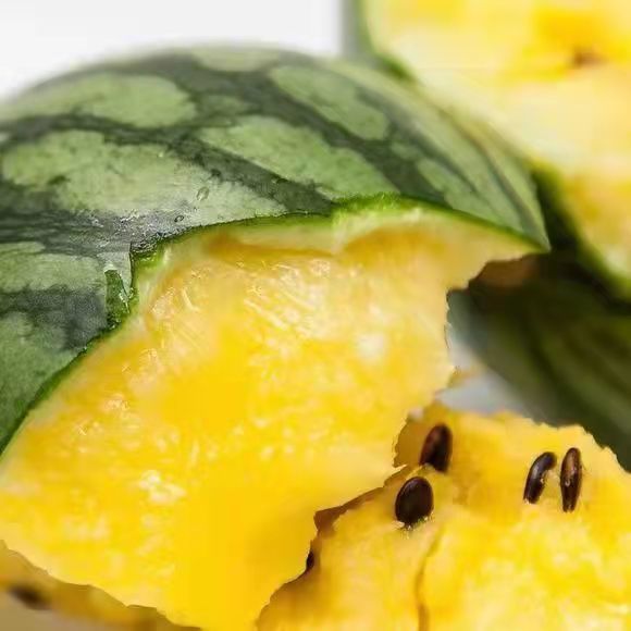 现摘现发富硒特小凤西瓜黄壤黄心沙瓤当季新鲜高端水果麒麟瓜 【尝鲜