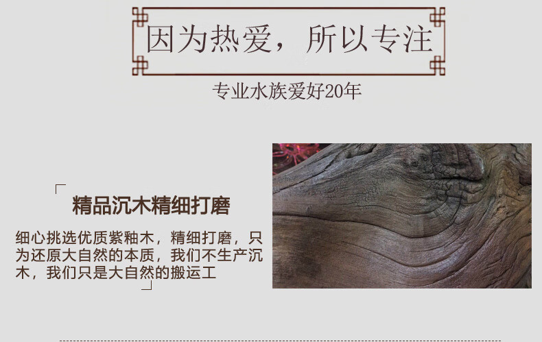 df02df702b35153a.jpg