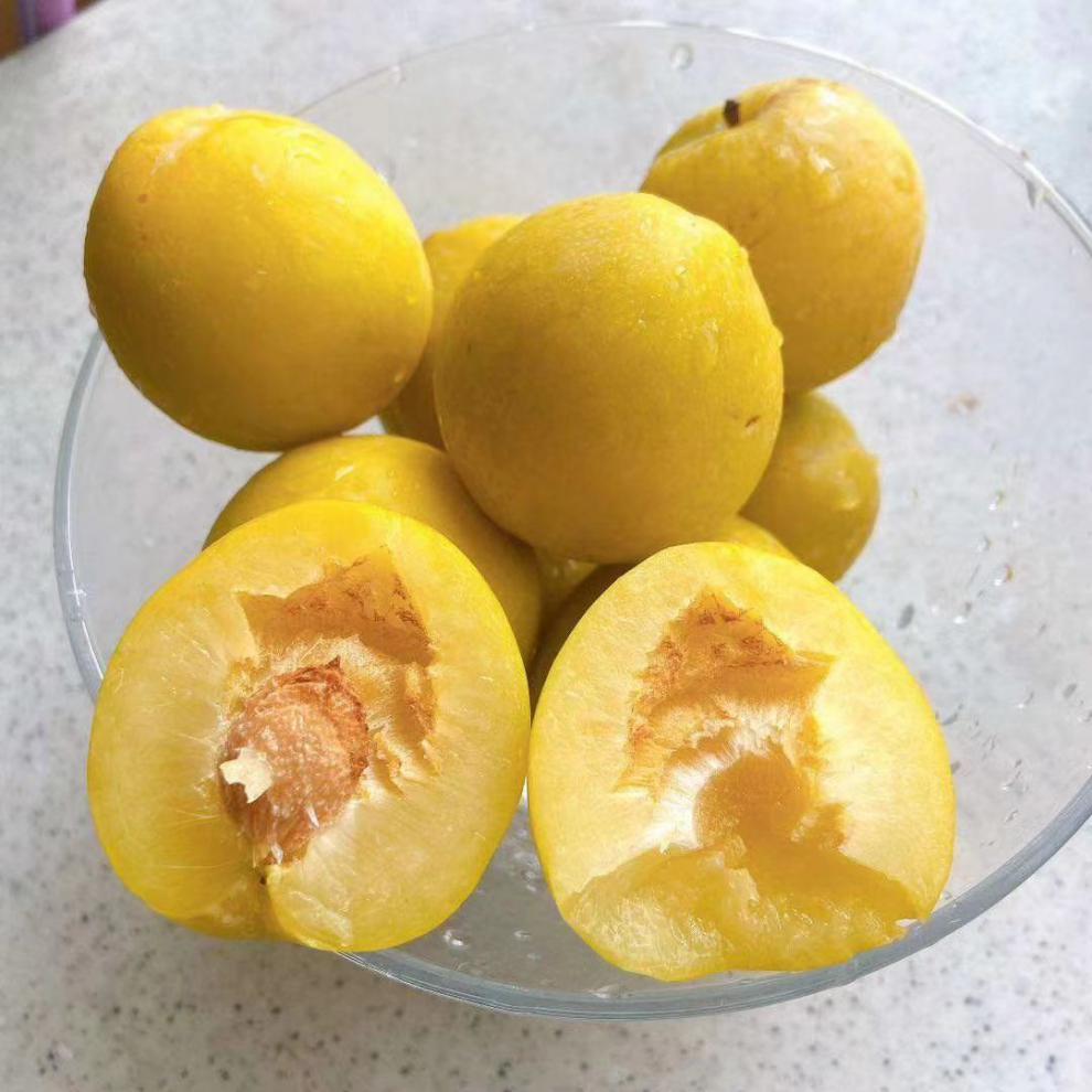 正宗湖南郴州汝城文明黄金奈李新鲜大果脱骨水果当季李子大脆甜10十斤