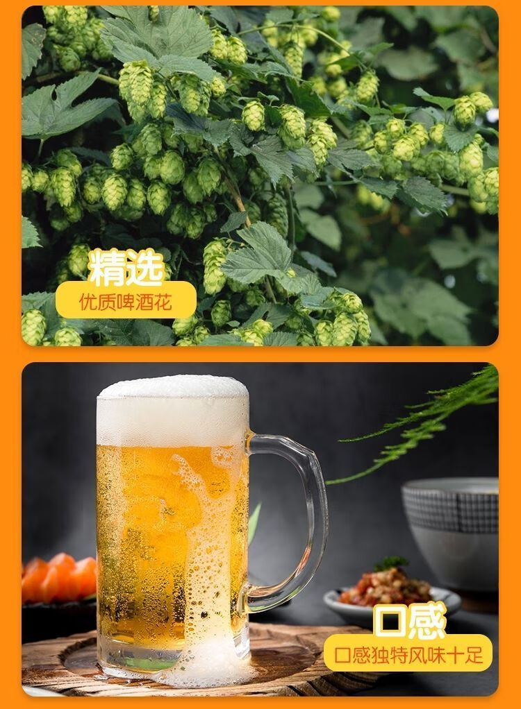 花椒啤酒 陕西特产全麦芽啤酒清爽大红袍花椒啤酒醇爽330ml*6整箱 (6