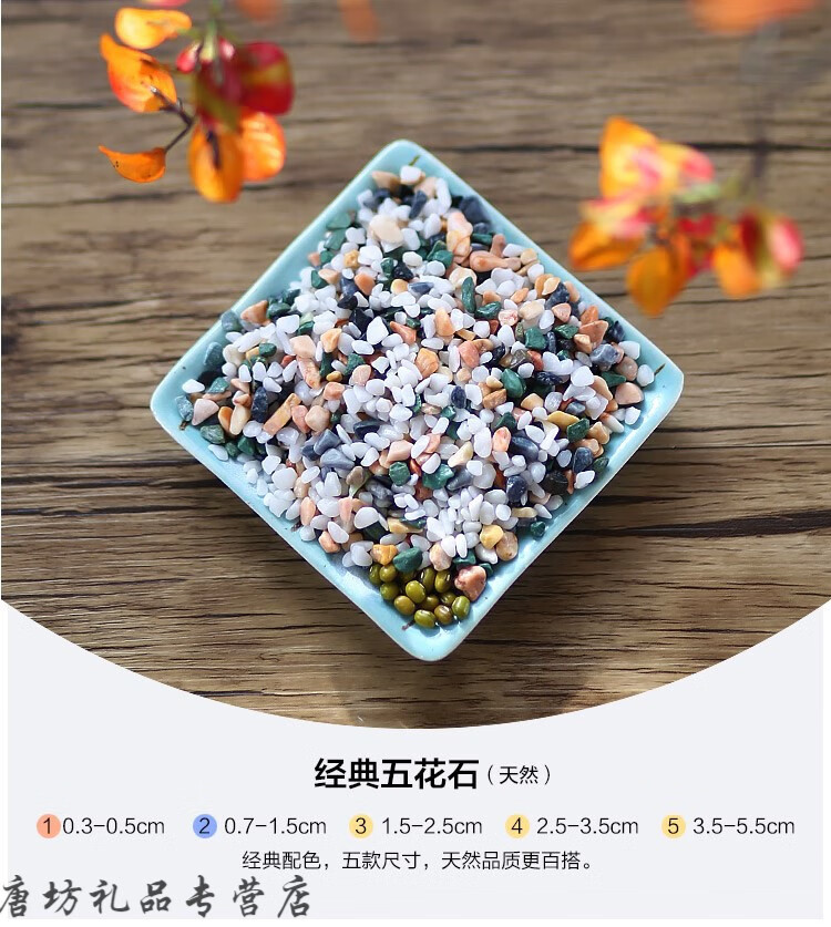 园艺1斤小石子五彩石彩石子多肉植物花盆栽铺面石鱼缸装饰造景石头子1