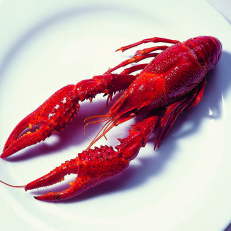 龙霸小龙虾国联水产龙霸麻辣小龙虾加热即食熟食冷冻海鲜蒜蓉真空装