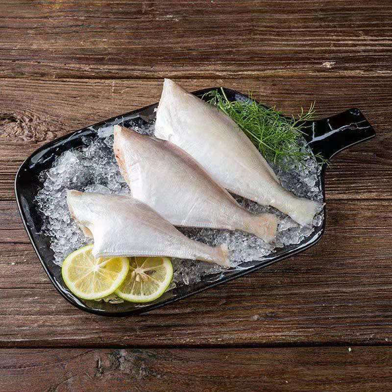 中号扒皮鱼马面鱼冰鲜耗儿鱼火锅食材去头去内脏500g腾旺纳跃2斤25条
