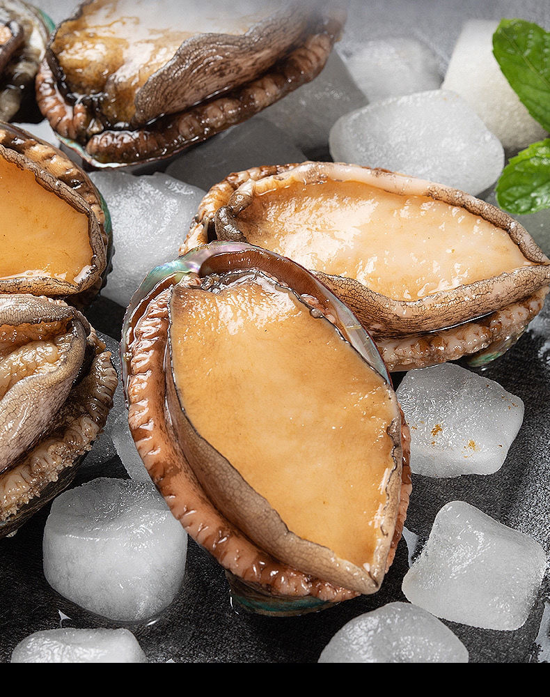 斓维品 鲍鱼新鲜大鲍鱼特大鲍鱼新鲜鲍鱼新鲜鲜活特大鲍鱼批发鲜活大