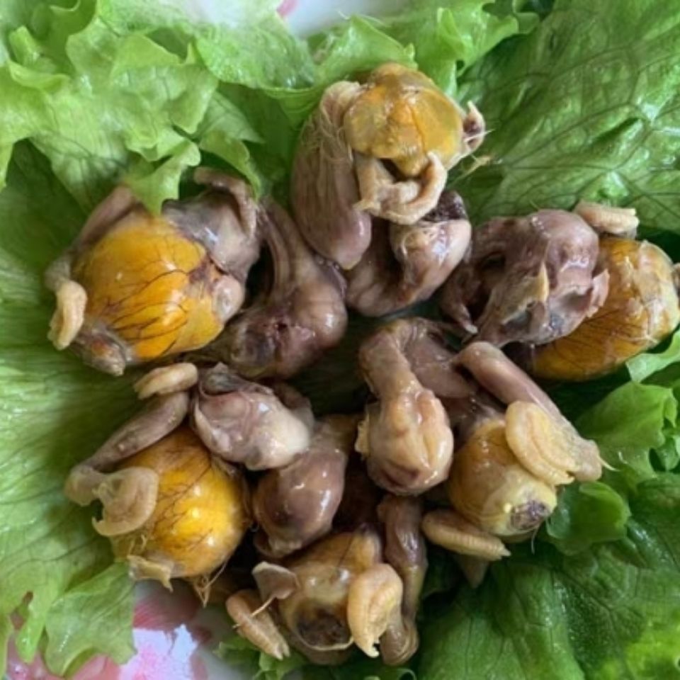 新鲜毛蛋生毛鸡蛋1921天鸡胚蛋喜蛋旺鸡蛋实蛋半毛半蛋30只装1718天