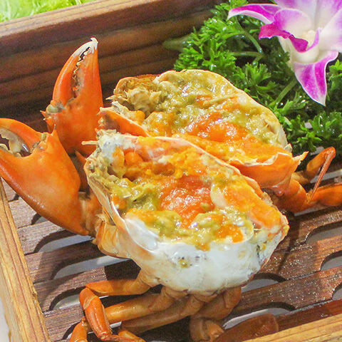 两斤装 净重3~4只 东山岛特大红膏蟹红鲟母青蟹 全母膏蟹