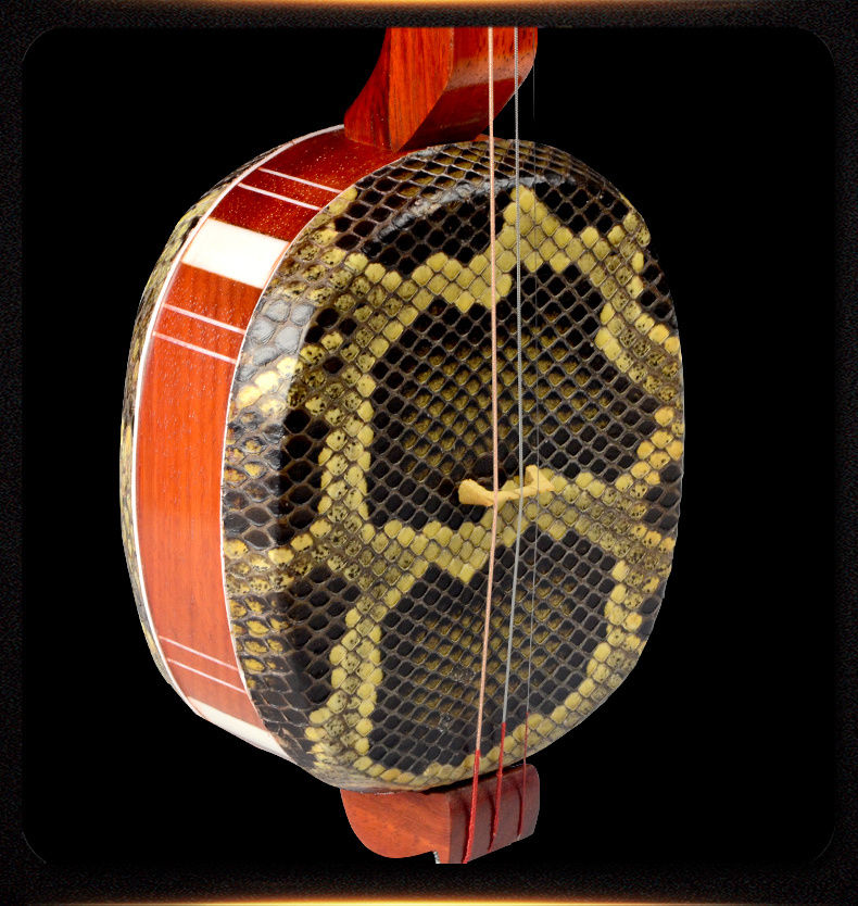 红木三弦 大中三弦小三弦拨片演奏琴 苏州民族弹拨乐器 木中三弦 盒