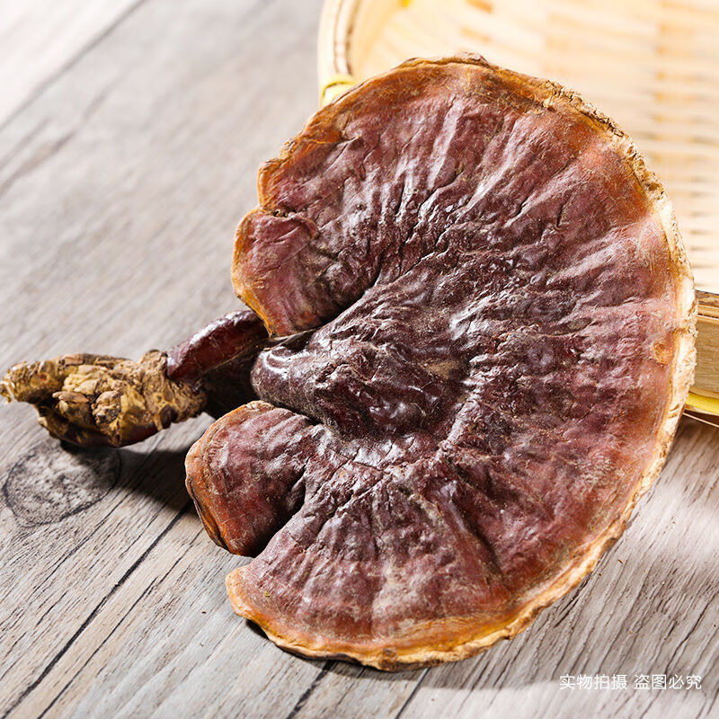 北京同仁堂原料西藏野生金边灵芝整株赤灵芝整枝野生老灵芝泡茶泡酒