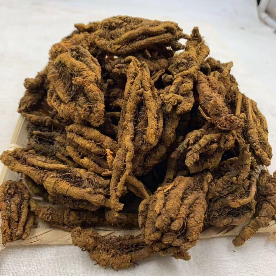 特级黄莲片黄连中药材四川鸡爪莲茶养生泡茶 黄连整个250克【图片