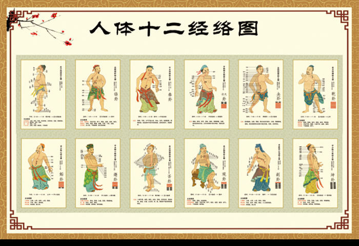 【精选】人体经络穴位图真人全身大挂图中医养生馆墙画针灸艾灸理疗馆