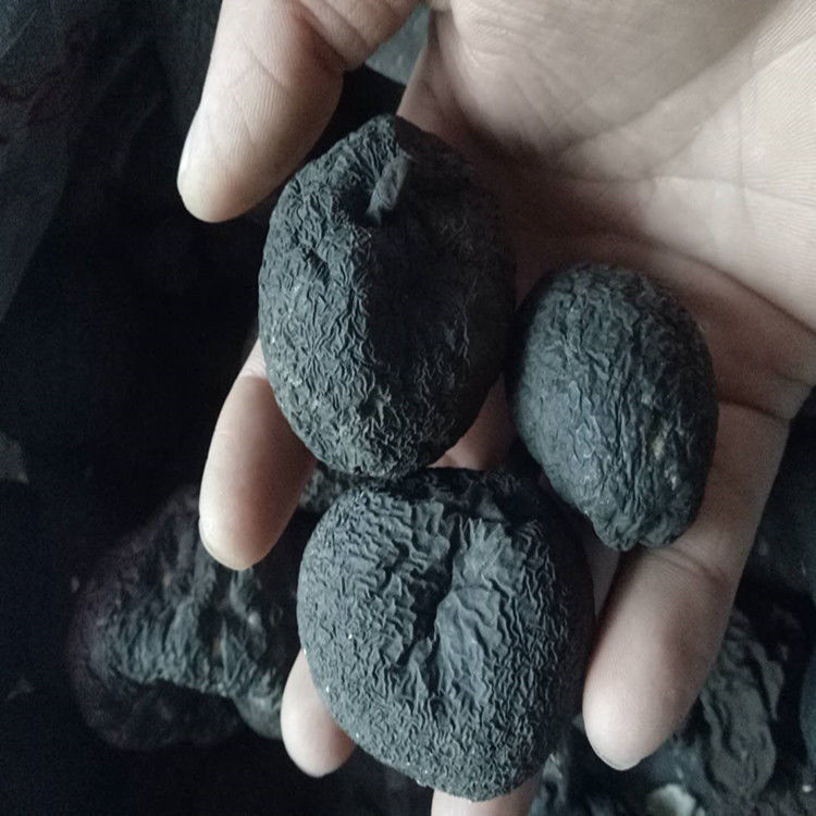 中药材乌灵参乌苓参菌鸡枞蛋雷震子鸡茯苓吊金钟 10