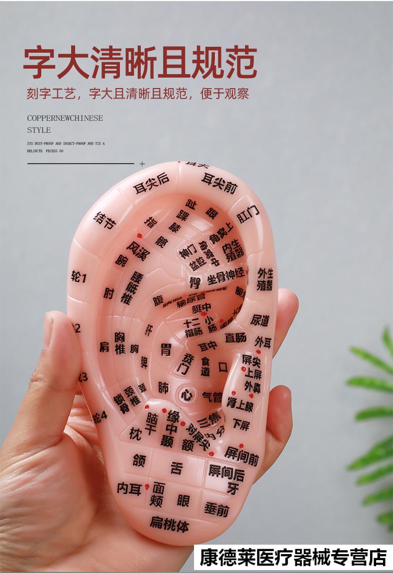 王不留行籽耳穴贴防过敏压丸贴近视耳朵穴位模型学习中医探穴笔 耳穴