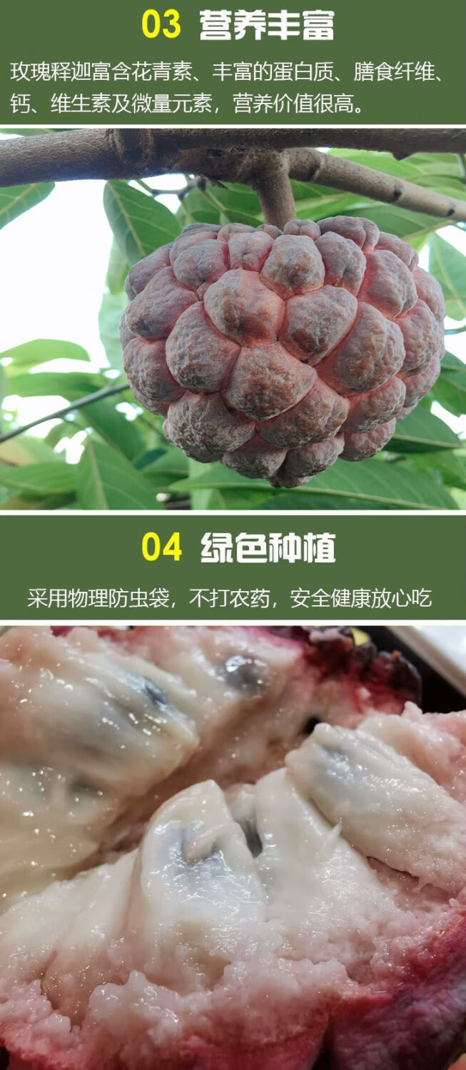 海南红玫瑰释迦果新鲜水果红皮大目释迦番荔枝玫瑰红释迦果新鲜当季