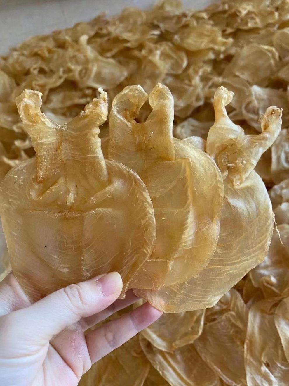 干货大号陈年蜘蛛老鱼胶花胶鱼鳔鱼肚泡滋补美容养颜 越南蜘蛛胶150g