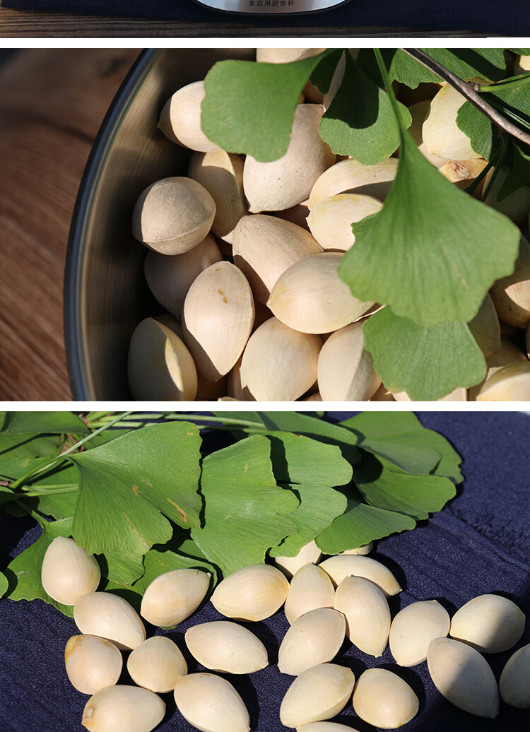 新鲜银杏果带壳生白果仁邳州特产老树龄银杏果5斤大颗粒银杏果