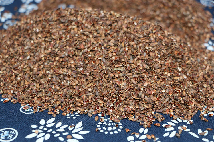 北京同仁堂原料柏壳野生侧柏籽壳柏子壳白发失眠侧柏叶扁柏仔壳野生