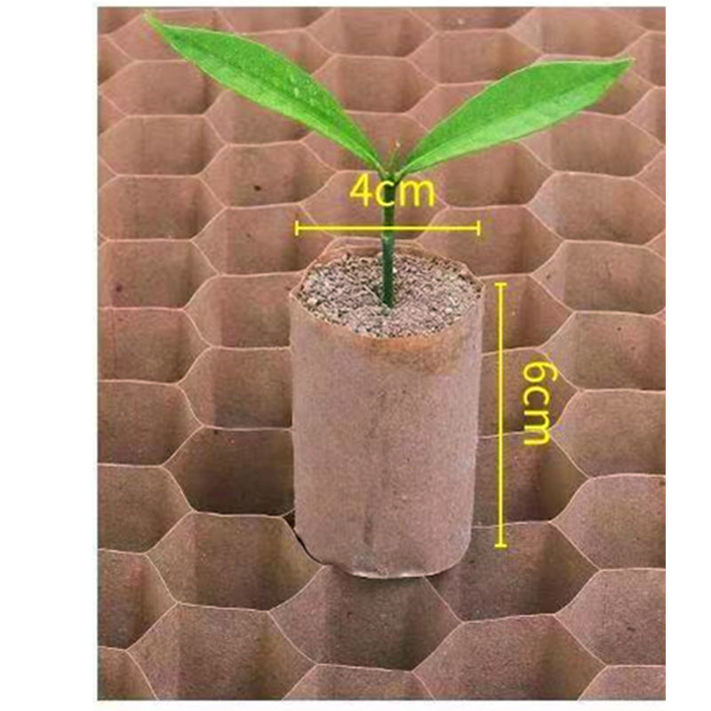 育苗纸筒杯新型蜂窝育苗袋纸质育苗盘营养钵蜂巢育苗杯育苗纸筒 5*6