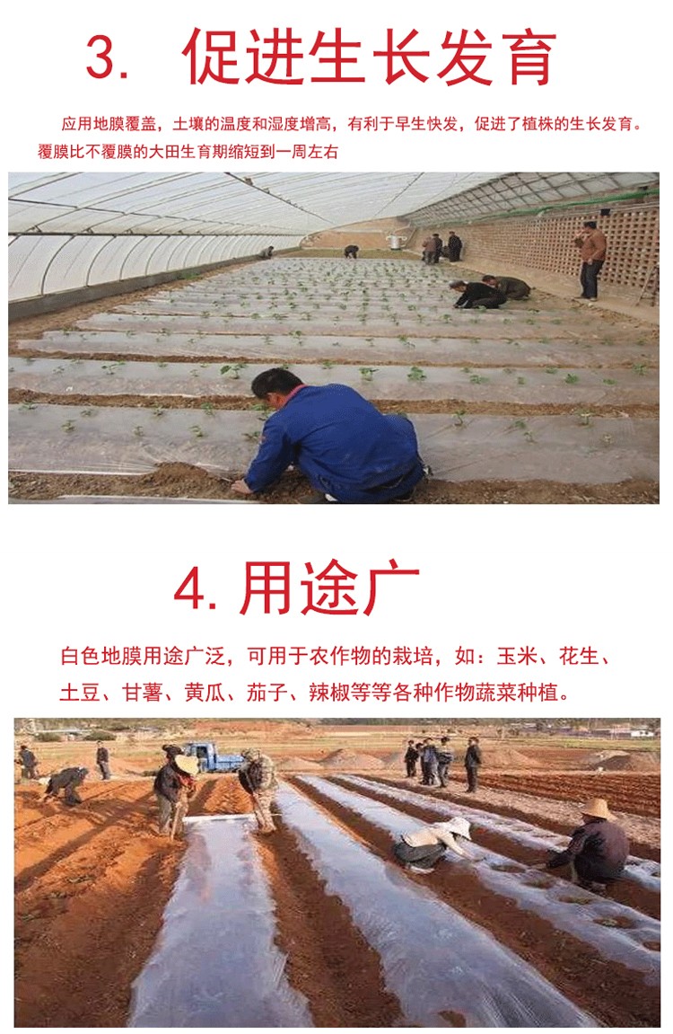 薄膜地膜农用种植塑料薄膜地膜白膜种花生果树地膜种玉米地保护膜白色