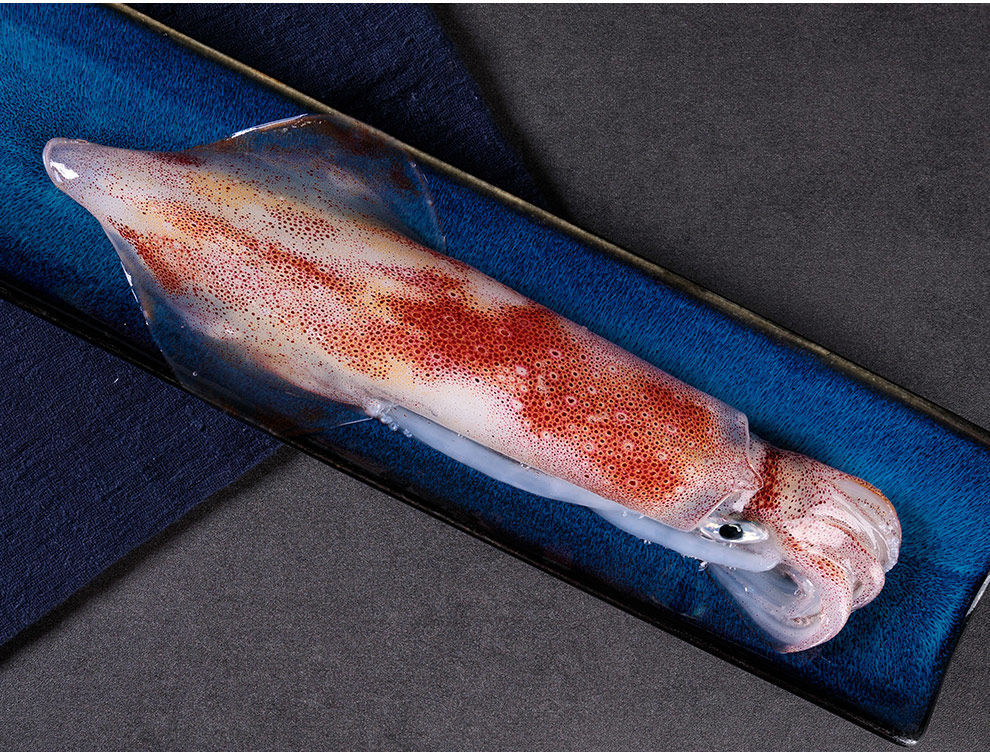 海手钓大管火箭枪乌贼鱿鱼刺身海捕新鲜活冷冻海兔子水晶管 港口直发