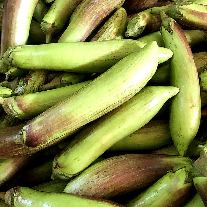 云南冰川茄子新鲜蔬名菜脆皮糯花茄特色餐厅酒店食材2500g