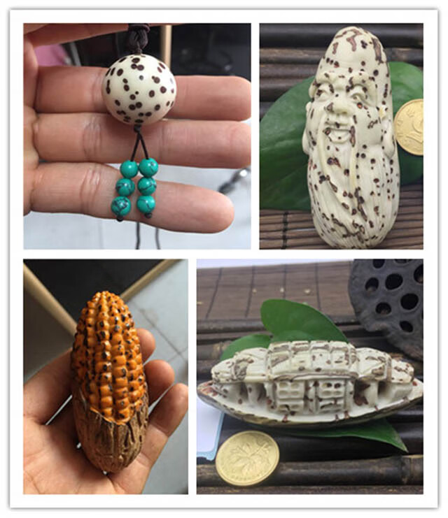 菩提子原籽原料红绿果星月金刚手把件精选成品手串红风化老果寓意礼物