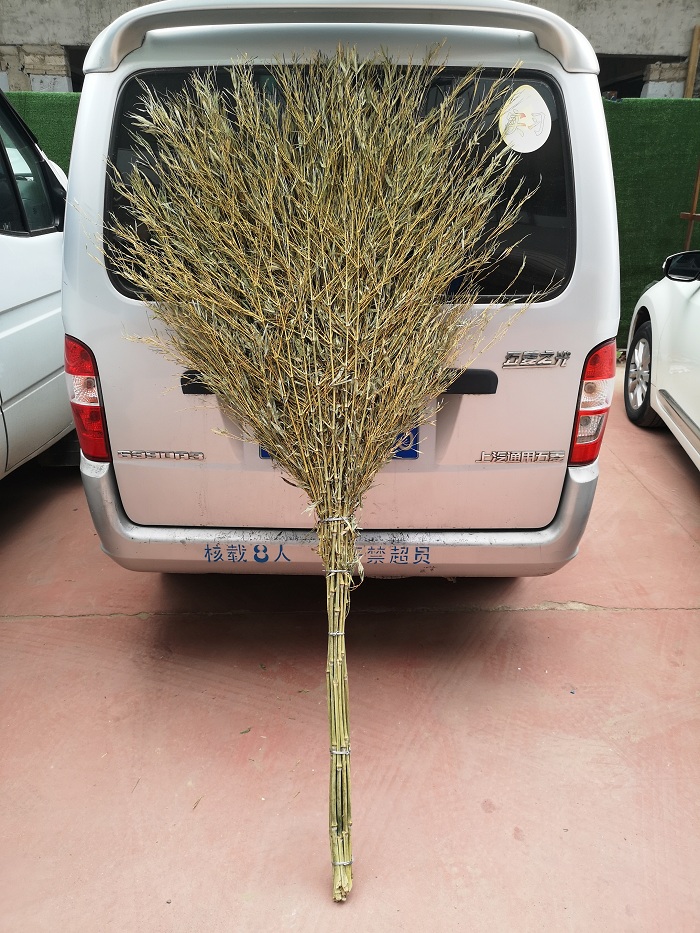 手工大扫把大扫帚环卫扫把大号竹扫把马路竹扫帚单位工厂园林开票