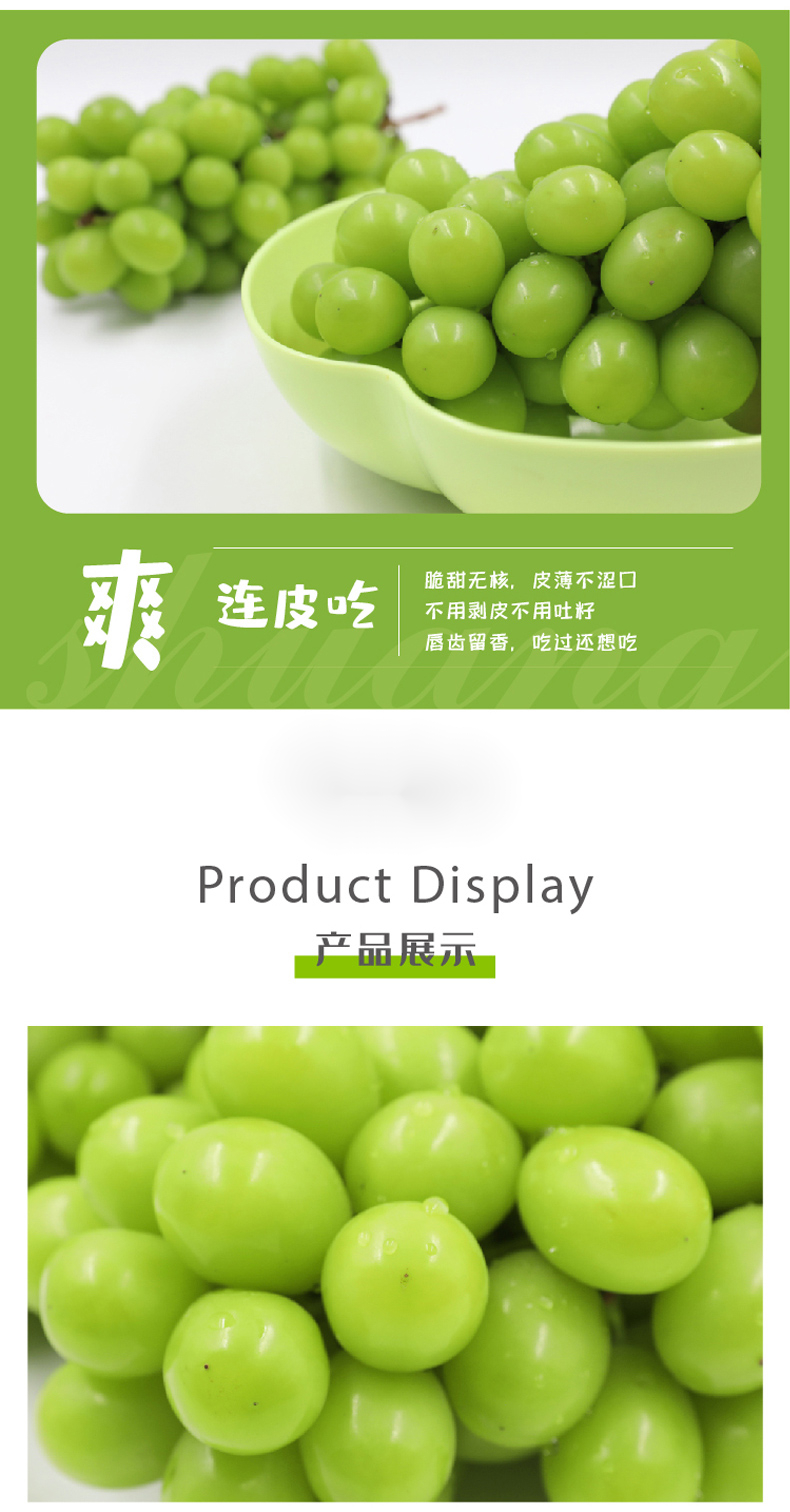 (顺丰)阳光玫瑰葡萄日本引进品种香印青提新鲜无籽水果新鲜当季整箱