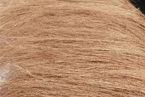 山棕丝棕榈丝盆景园艺棕毛拂尘马尾扫把刷子绿萝长短椰棕2斤乱棕丝