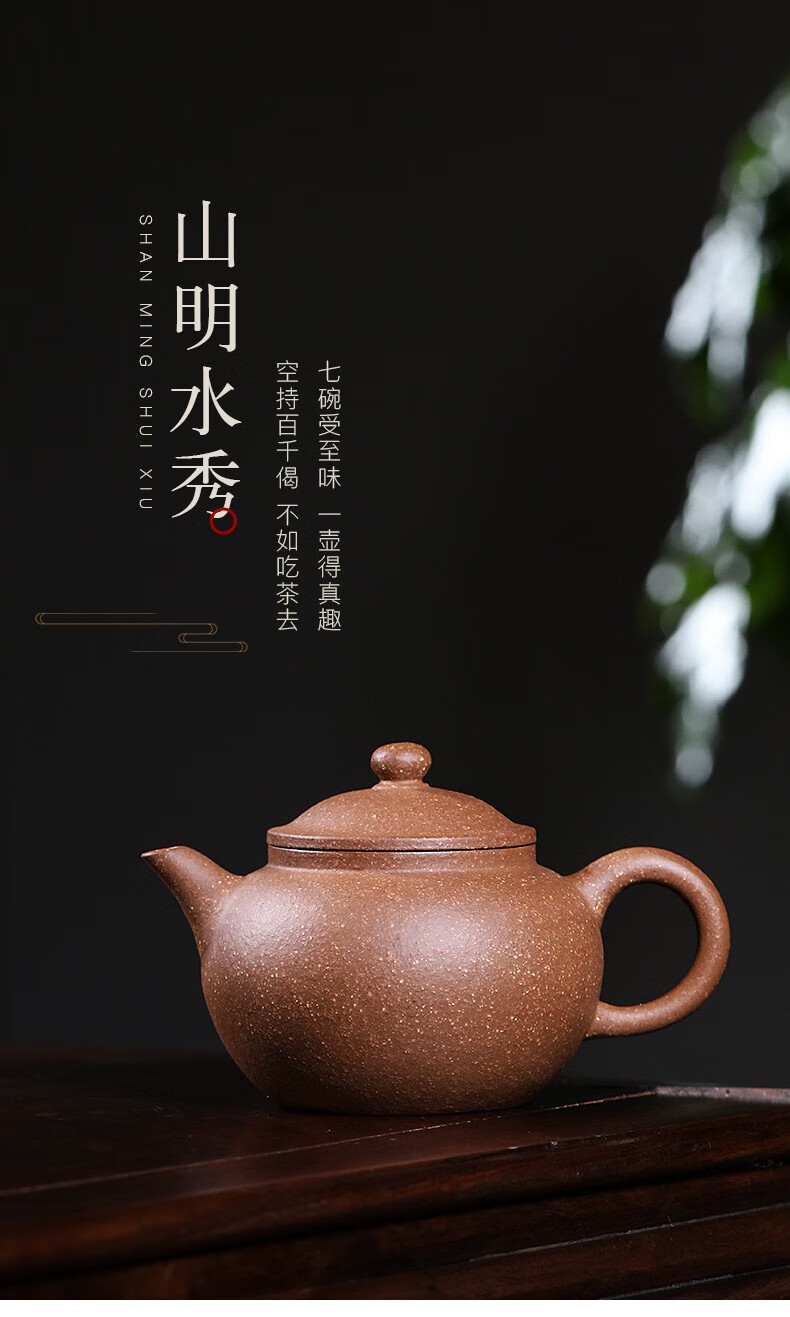 藏壶天下宜兴原矿紫砂壶小容量家用功夫茶具名家戴晨光系列茶壶卧虎