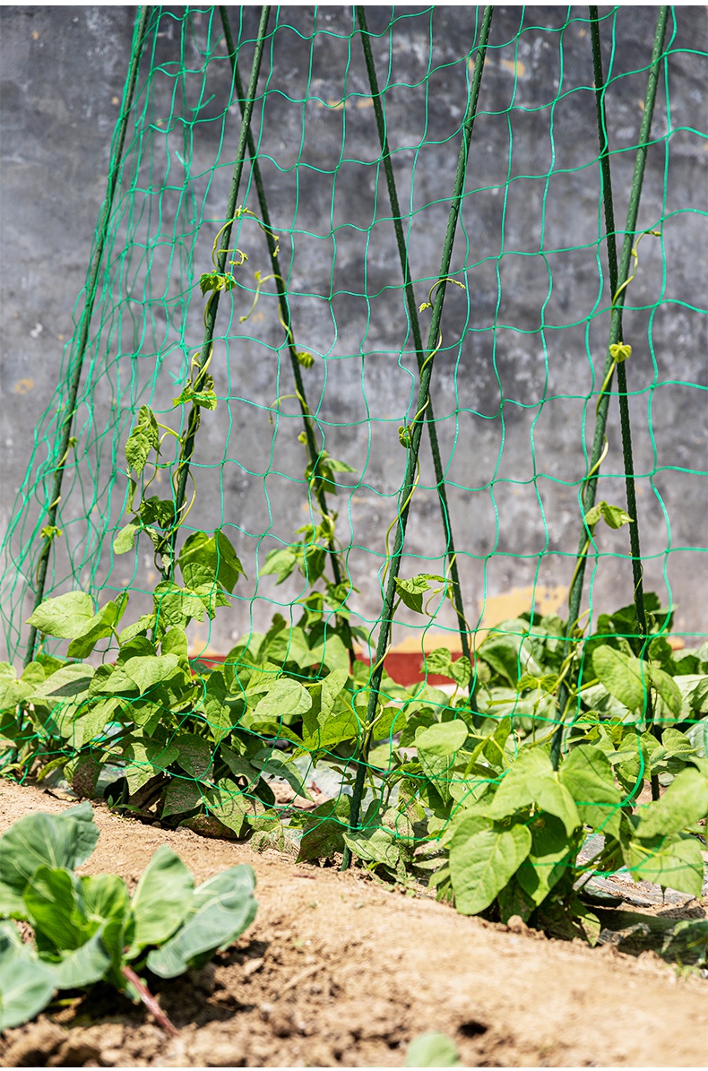 葡萄架子户外花架爬藤架网铁艺户外植物铁线莲黄瓜支架杆葡萄搭架子杆