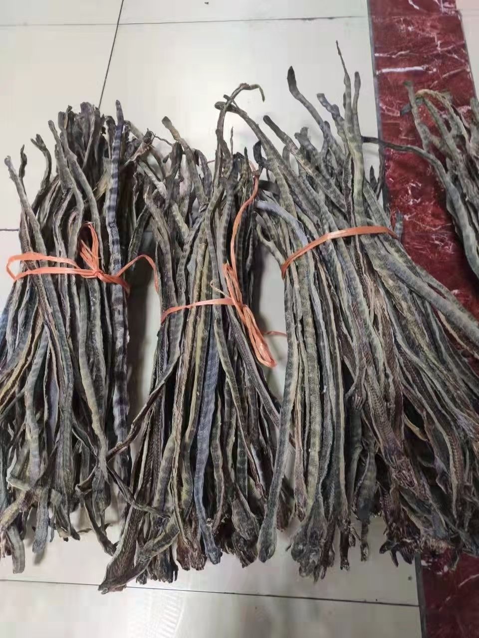 深海海蛇干货足干大号中和煲汤泡酒新鲜渔民自晒滋补营养漂亮 船晒