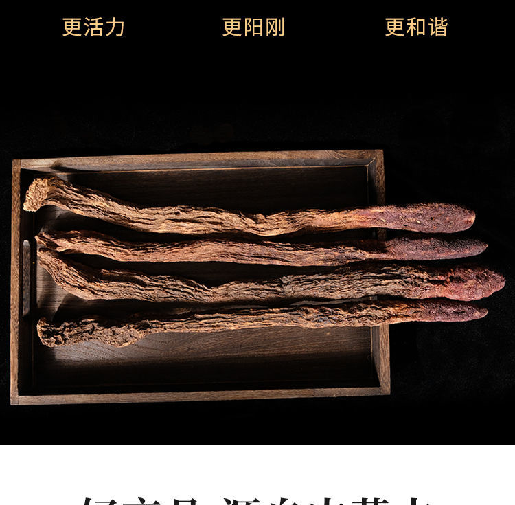 沙漠人参内蒙古锁阳片野生锁阳肉苁蓉批发可切片打粉泡茶泡酒滋补的中