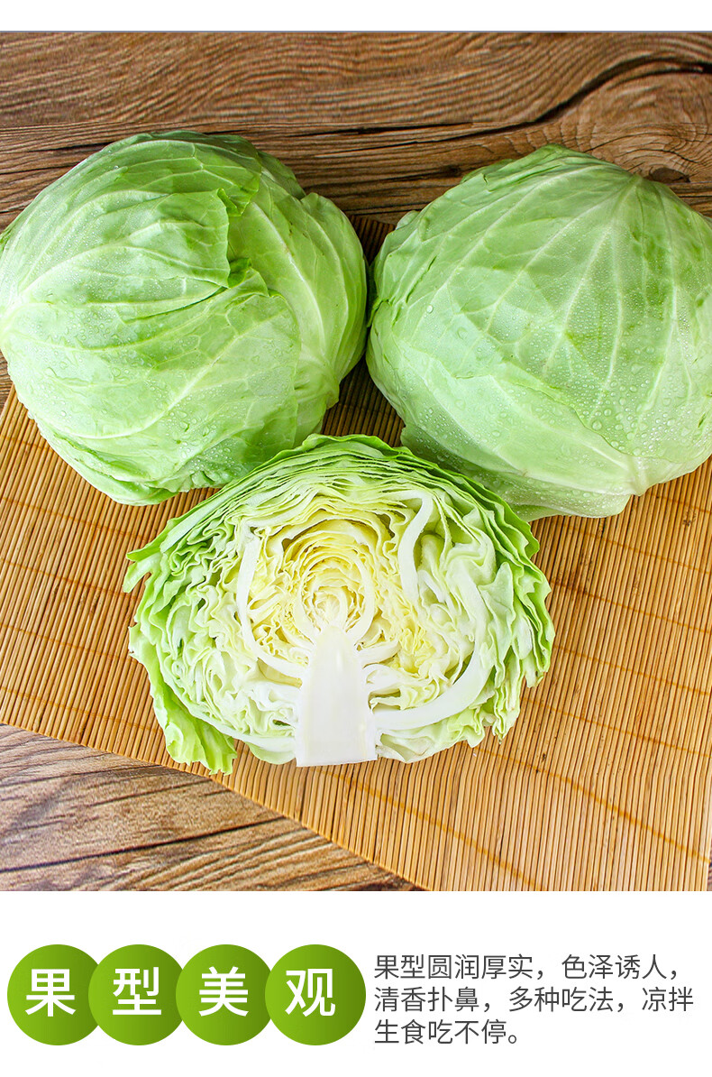 新鲜绿甘蓝卷芯包菜莲花白当季农家蔬菜洋白菜疙瘩白卷心 4500g【图片