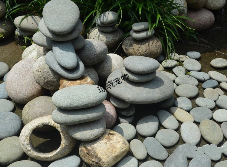 雨花石造景装饰鹅卵石乌龟晒台石头鹅卵石超大鱼缸观景石扁平造景爬