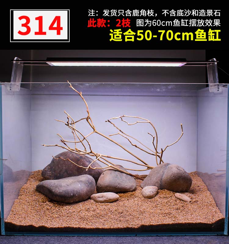 db7edea102461a95.jpg