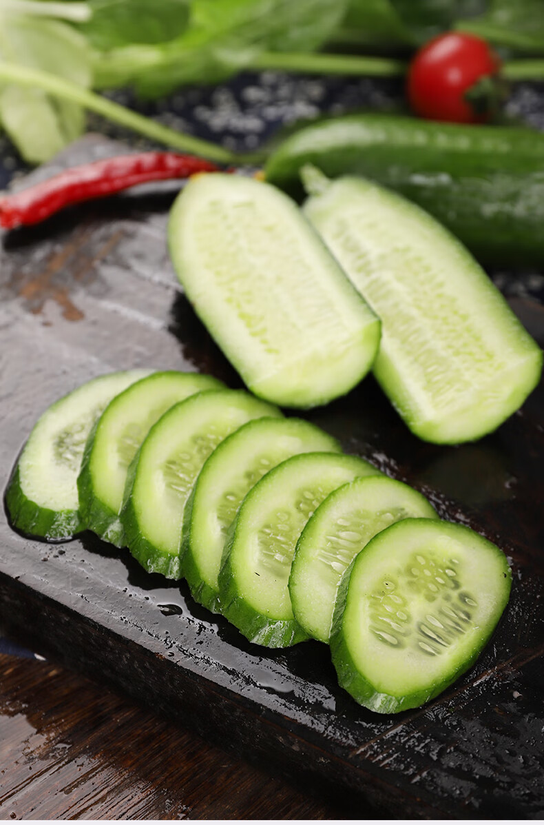 山东脆黄瓜 水果黄瓜新鲜 生吃当季蔬菜 小黄瓜青瓜 脆嫩清甜现摘现发