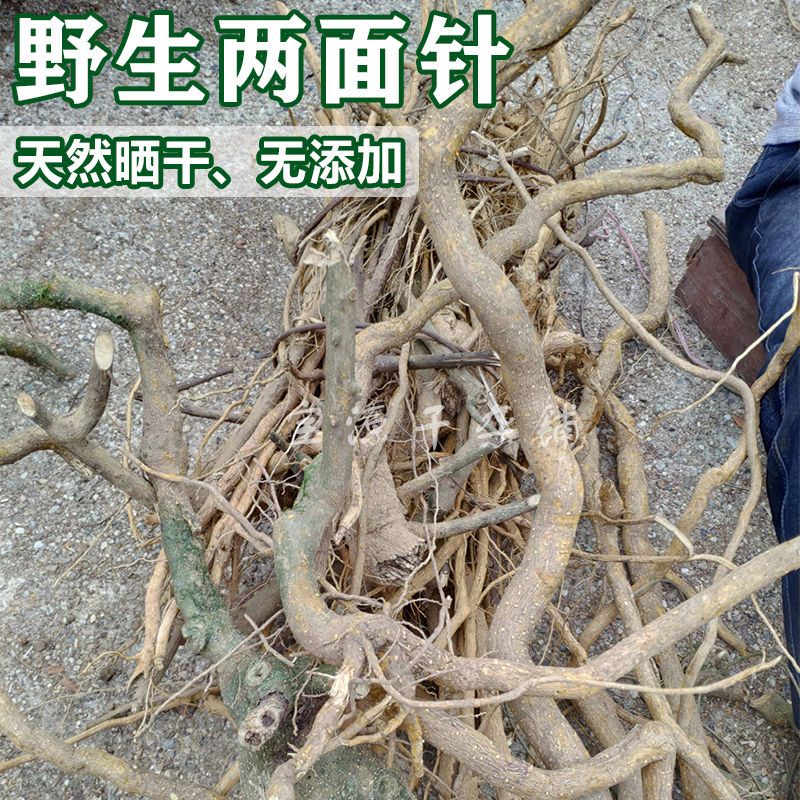 两面针中药材广西野生两面针根双面刺两背针纯根干中草药100g 两面针