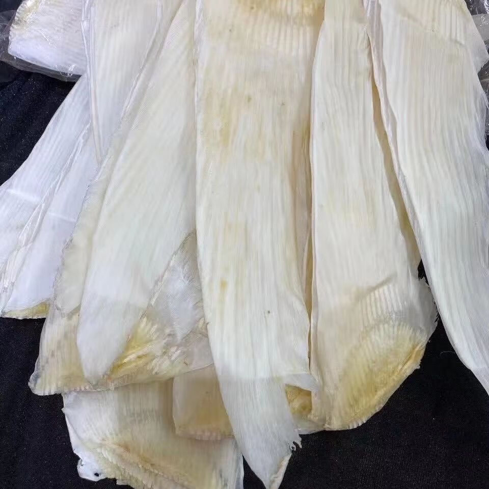 干货 牙拣翅10寸-22寸规格干货海味滋补超多翅针高端 14-16寸500克