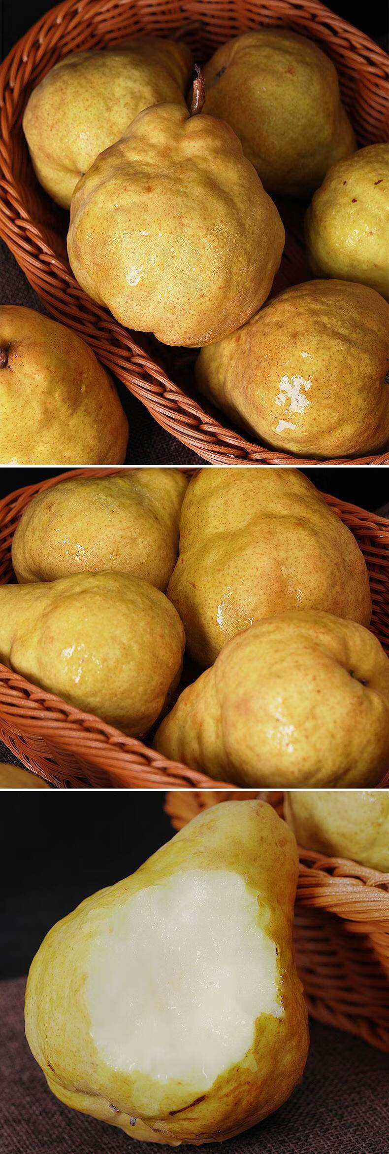 山东特产烟台中华丑梨当季新鲜水果梨子新鲜丑八怪梨胜太婆梨 5斤中果