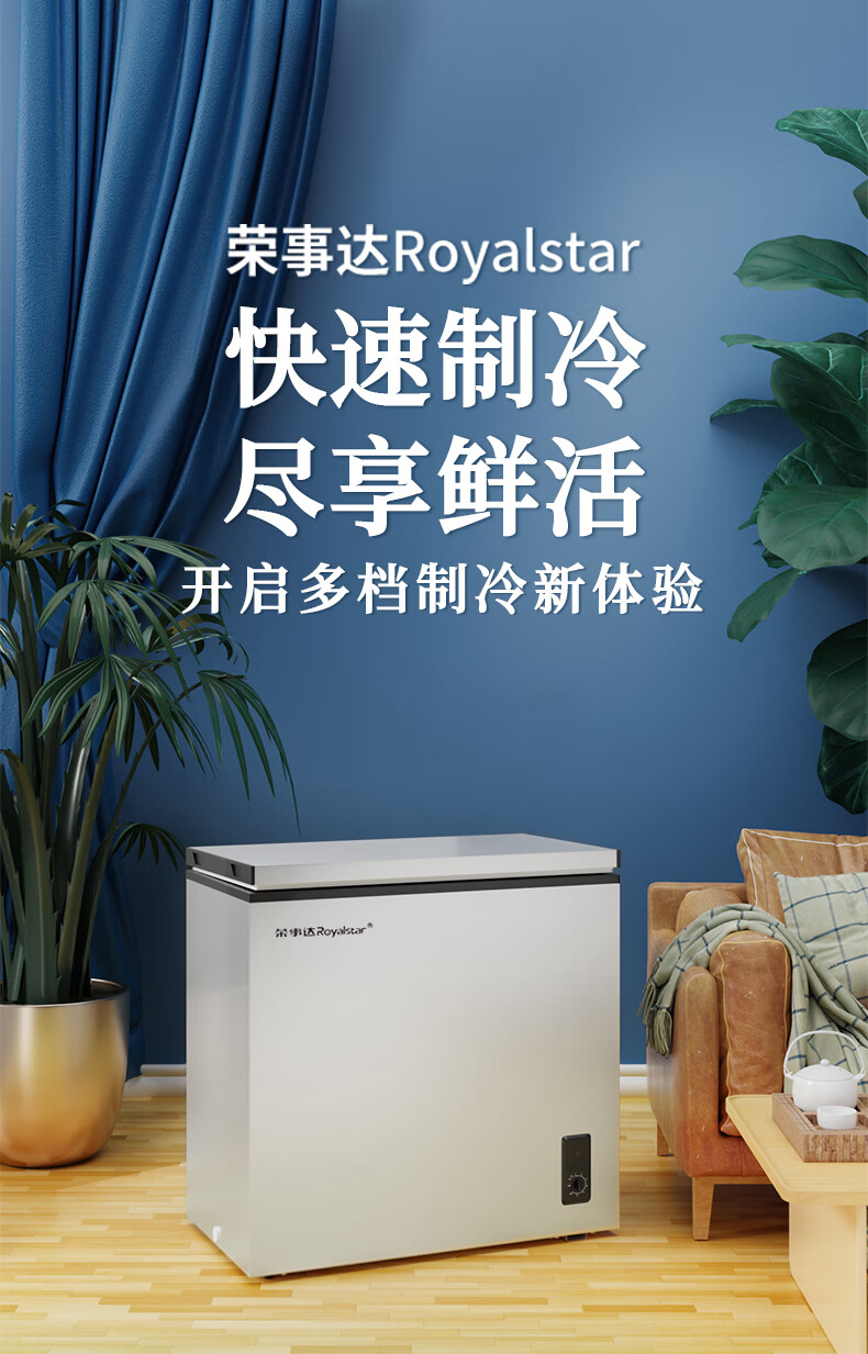 荣事达一级节能小冰柜家用全冷冻冷藏柜小型省电保鲜迷你两用冷柜 18