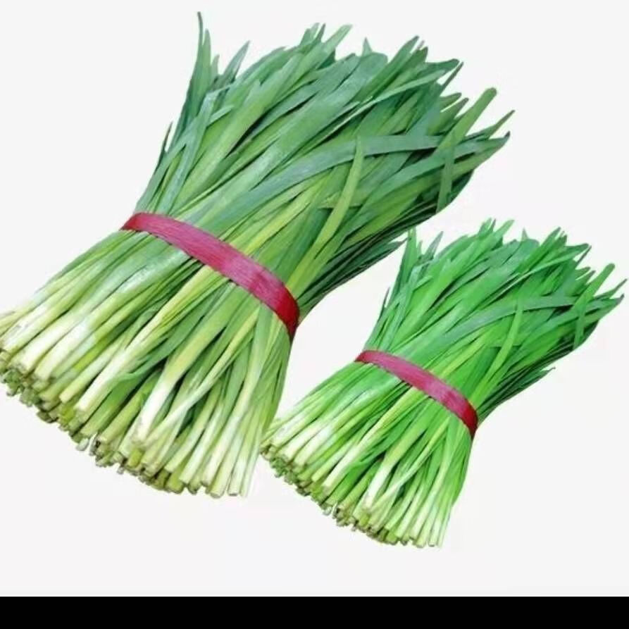 轻恋农家露天绿韭菜新鲜名嫩韭菜应季时令蔬菜现割3斤现割头茬韭菜