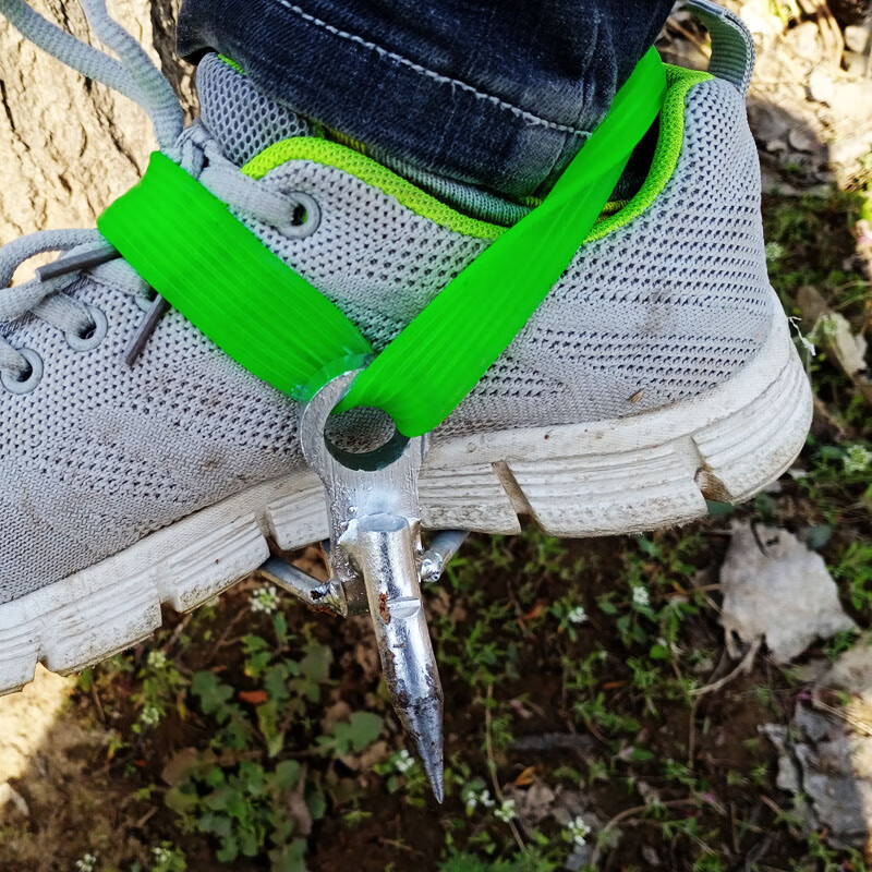 爬树神器直立上树工具爬树脚扎子猫爪子爬树脚扣上树爬树工具 大号