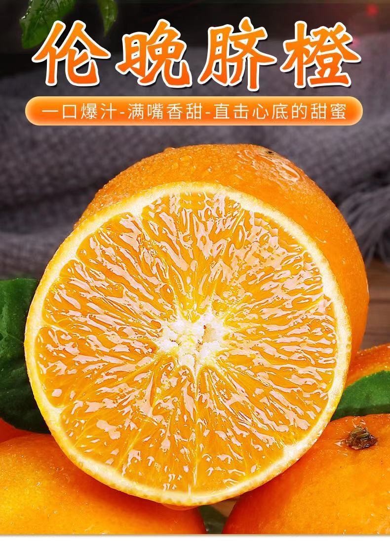 媚调 江西赣州脐橙秭归伦晚新鲜现摘当季水果手剥甜橙产地直发 3斤 净