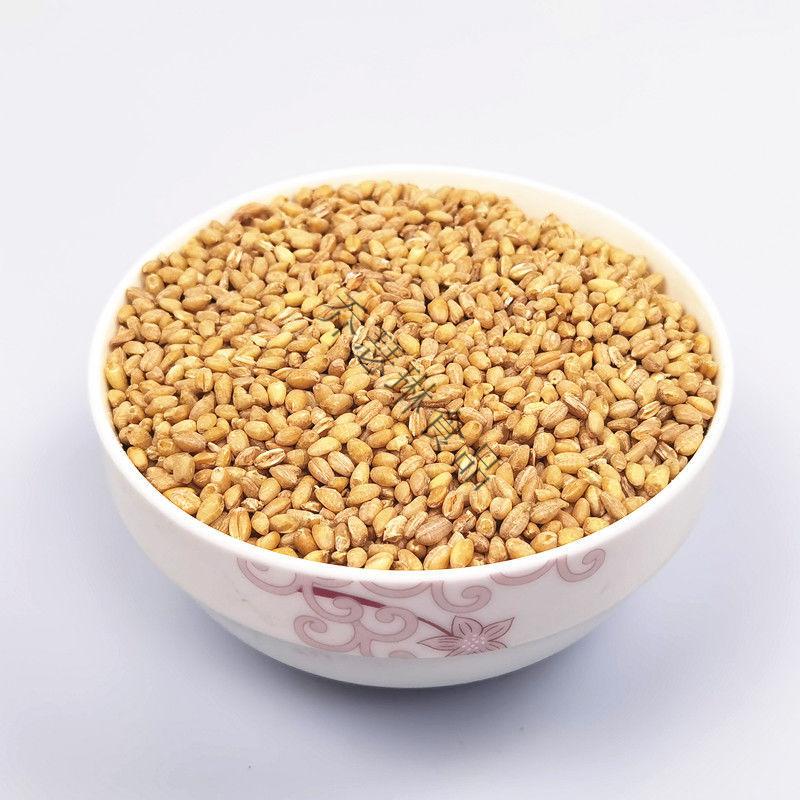 干净小麦粒喂鸡鸭鹅鸽子鸟家禽饲料原料钓鱼打窝猫草种子麦芽糖苗小麦